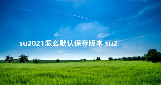 su2021怎么默认保存版本 su2021版本好用吗